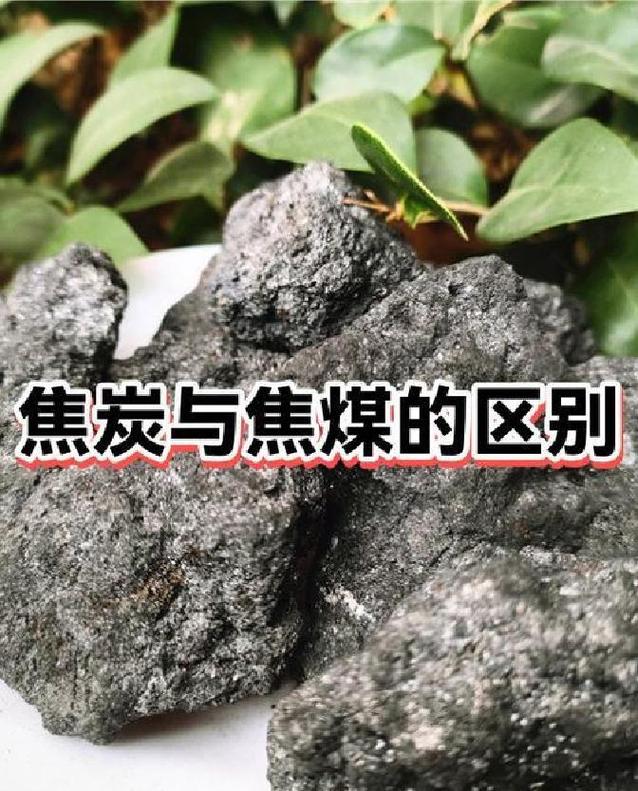 焦煤猛涨312,焦炭又要提价,盘面突传新消息